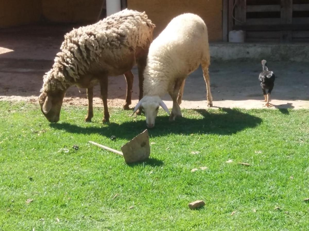 Molise Hotel Fazenda Serra Negra  Bagian luar foto