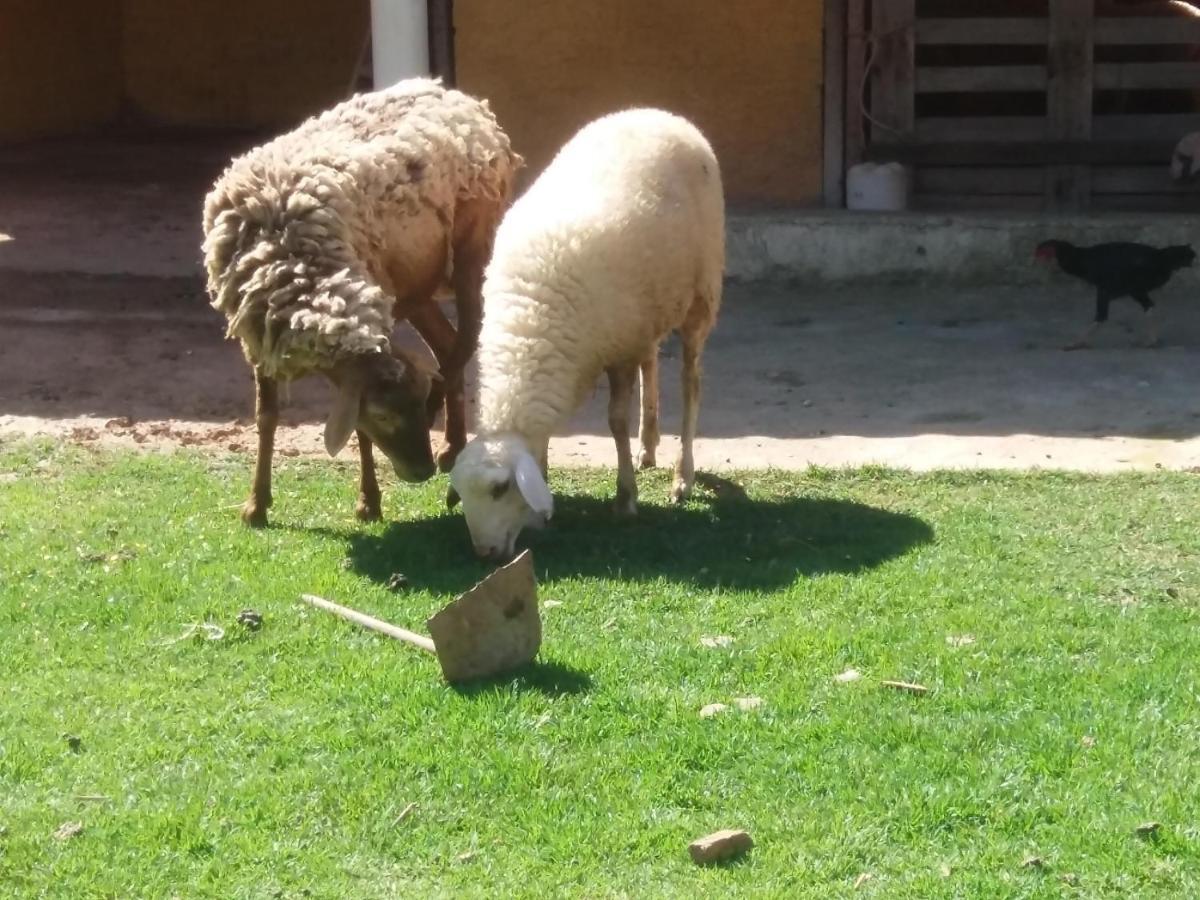 Molise Hotel Fazenda Serra Negra  Bagian luar foto